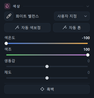 편집 탭의 색상 패널(스포이트 · 화이트 밸런스 줄 · 자동 색보정/자동 톤 · 슬라이더 네 개 · 흑백)