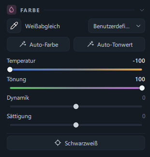 Der Bereich Farbe im Tab Anpassen (Pipette · Zeile Weißabgleich · Auto-Farbe/Auto-Tonwert · vier Regler · Schwarzweiß)