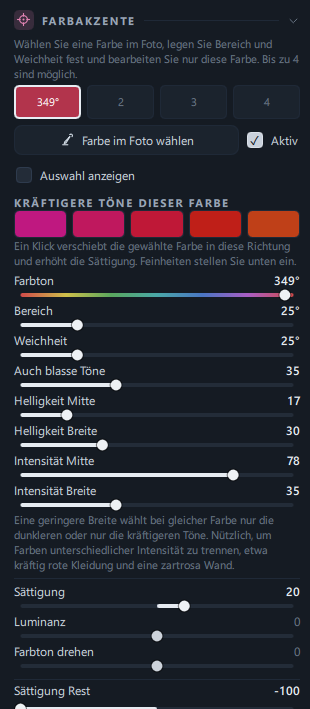 Der Bereich Farbakzente (Feld 1 mit der Mantelfarbe aktiv, Sättigung Rest −100)