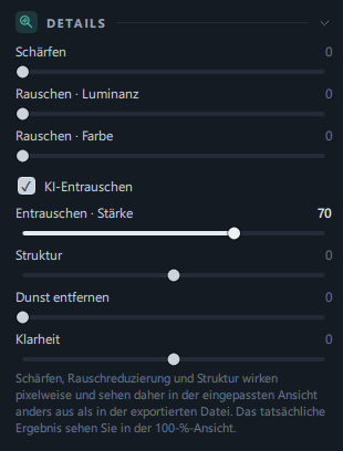 Der gesamte Bereich Details (Schärfen · zwei Rauschregler · Kontrollkästchen KI-Entrauschen mit Stärke · Struktur · Dunst entfernen · Klarheit · Hinweiszeile unten)