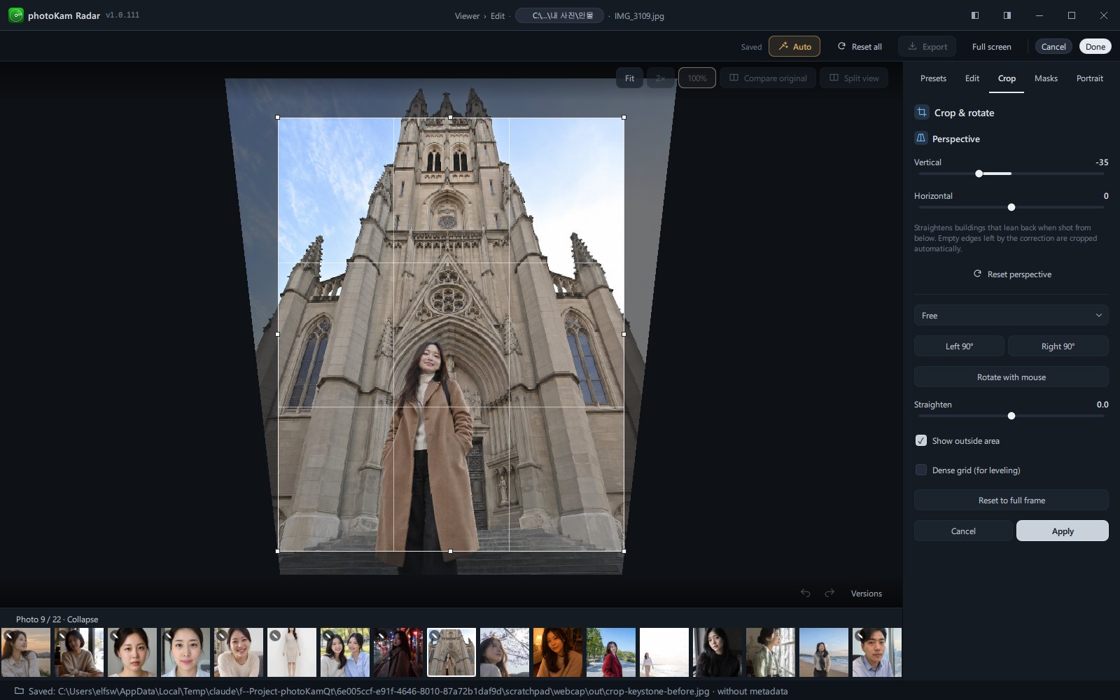 The crop view while dragging a Perspective slider