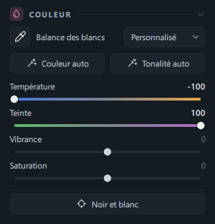Le panneau Couleur de l'onglet Retouche (pipette · ligne Balance des blancs · Couleur auto/Tonalité auto · quatre curseurs · Noir et blanc)