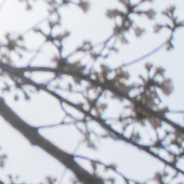 렌즈 보정 — 보정 후