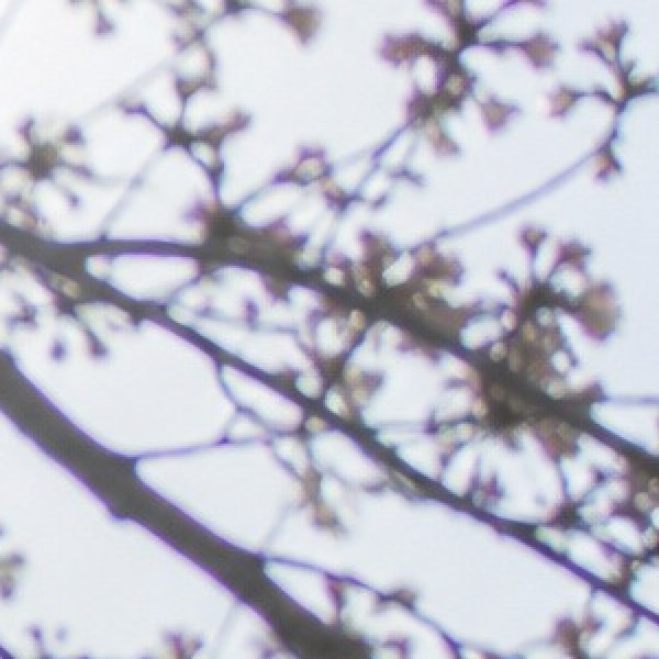 렌즈 보정 — 보정 전